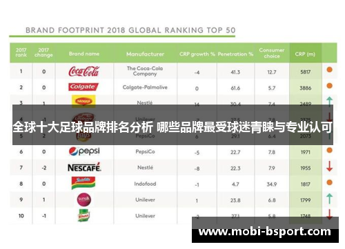 全球十大足球品牌排名分析 哪些品牌最受球迷青睐与专业认可
